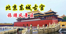 舔阴穴中国北京-东城古宫旅游风景区